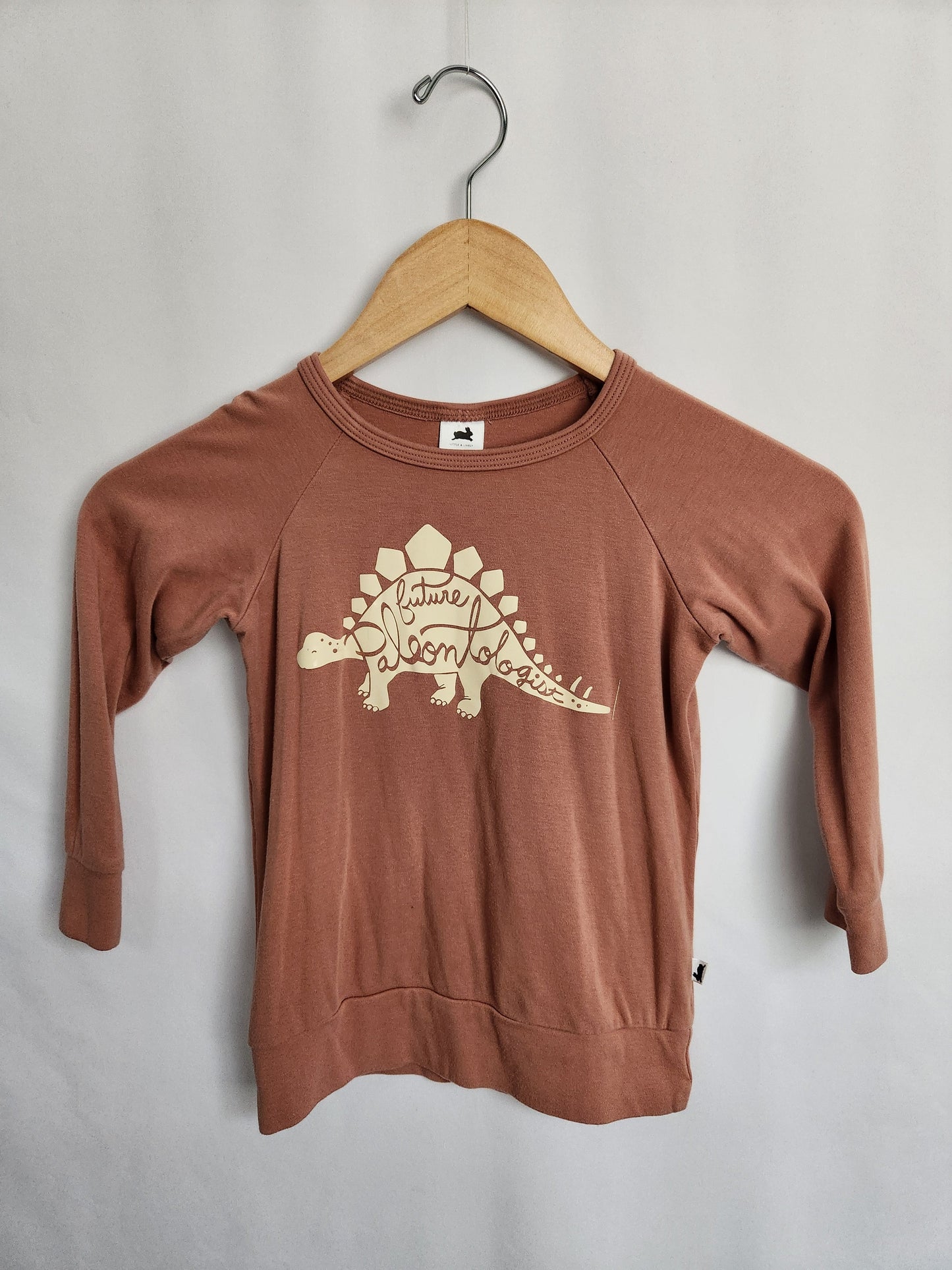 Little & Lively Future Paleontologist Sweater • 3-4 years