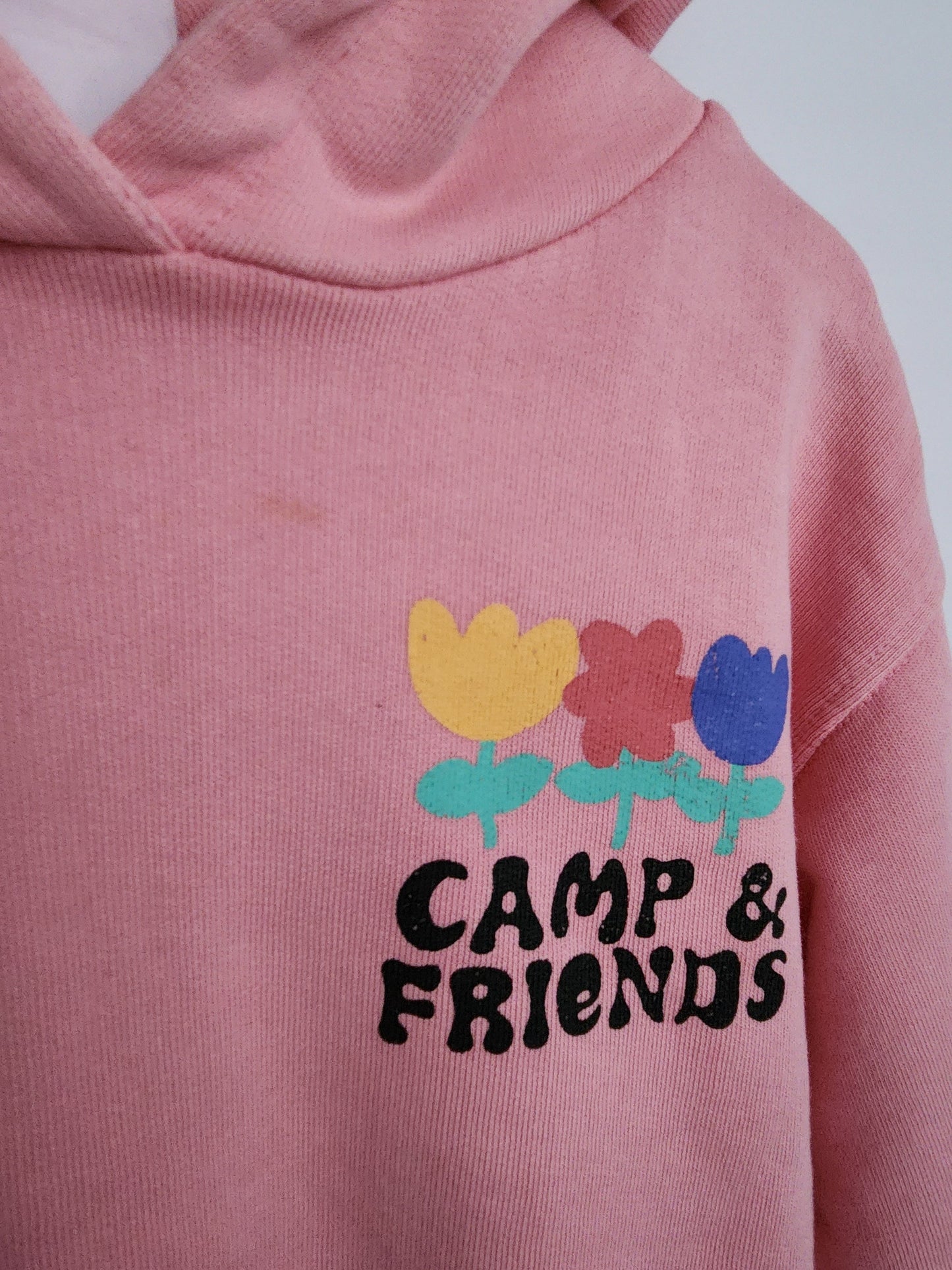 Zara Camp & Friends Hoodie • 2-3 years