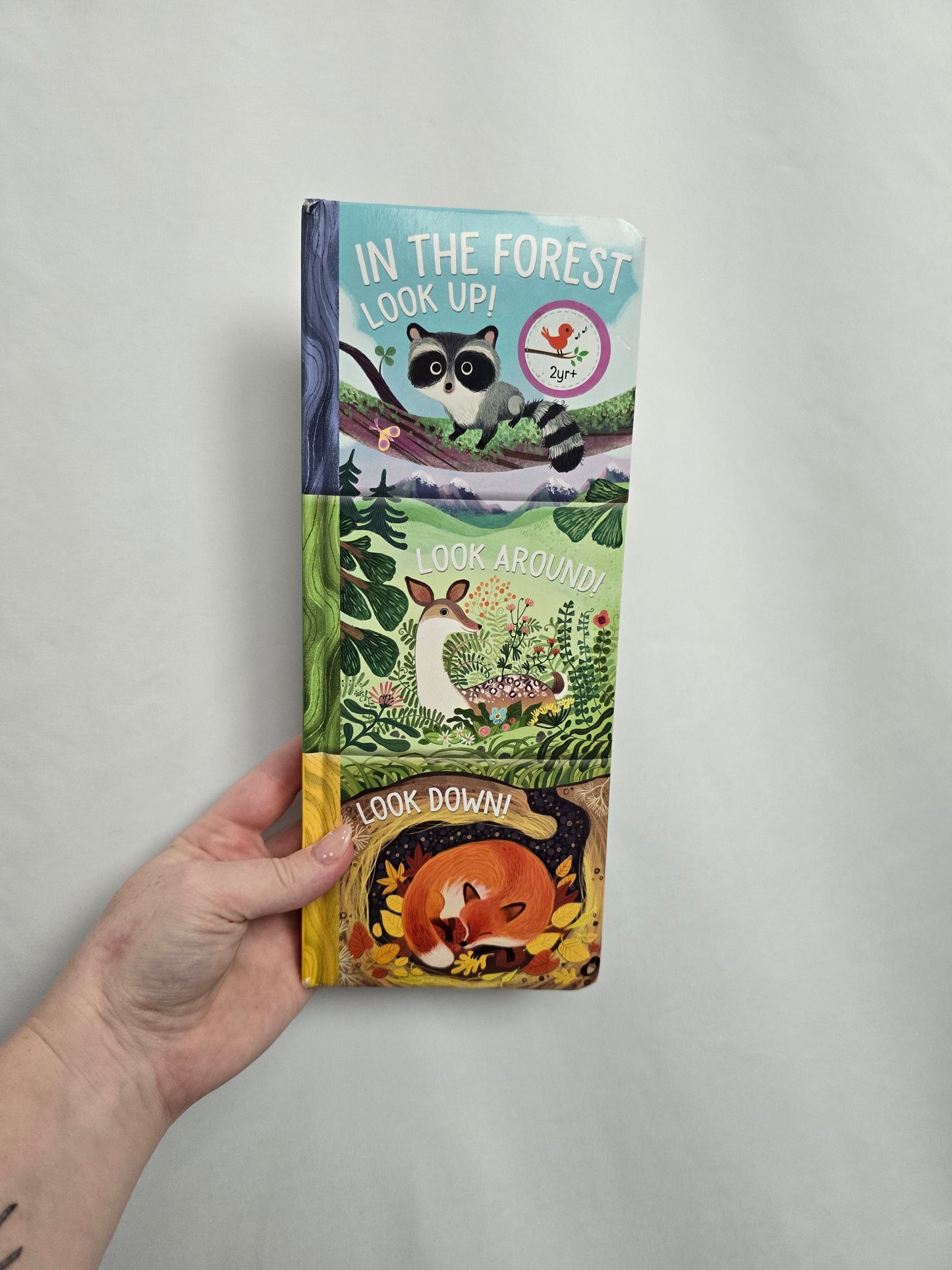 In The Forest • Board Book
