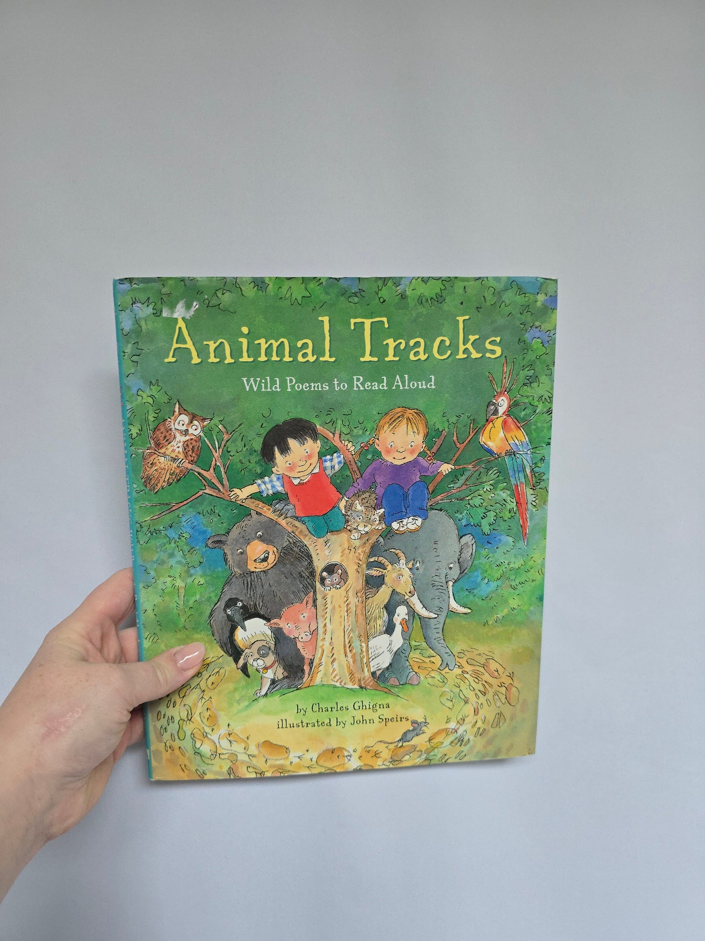 Animal Tracks • Hardcover Book
