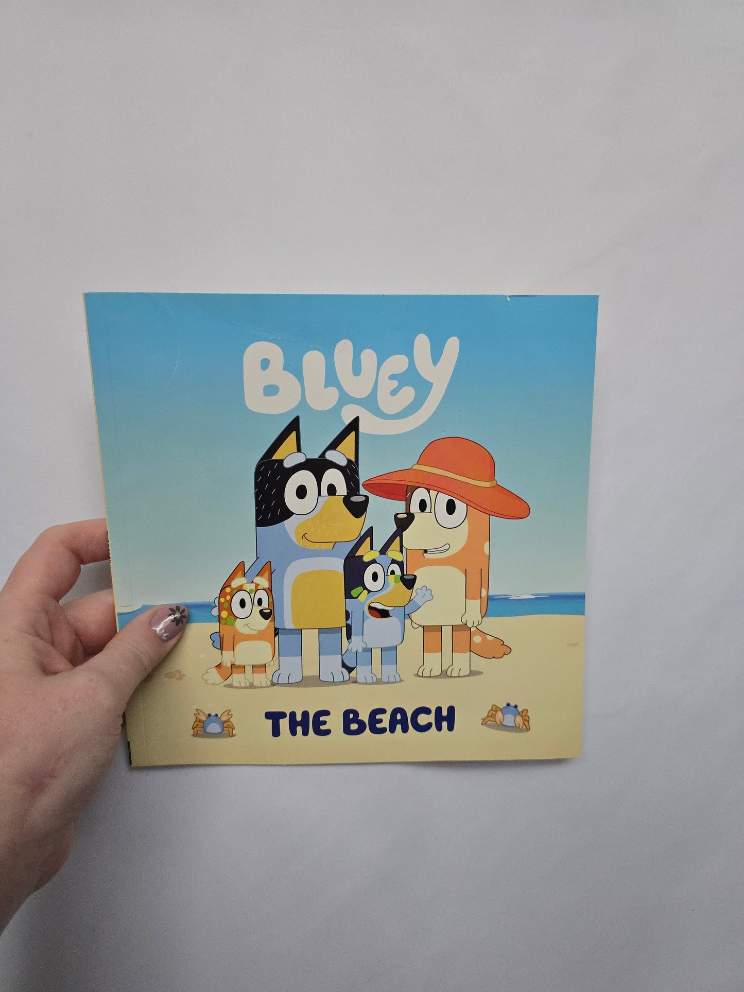 Bluey The Beach • Softcover Book