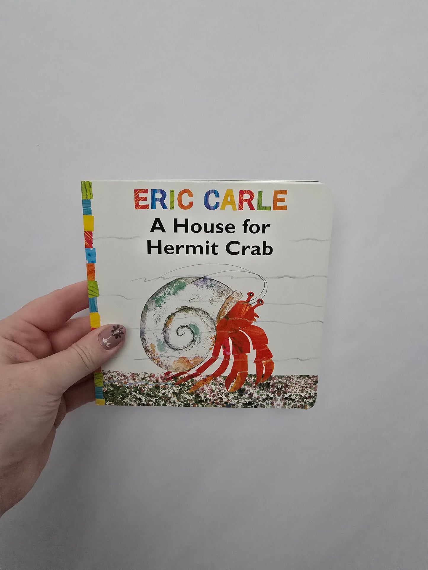 A House For Hermit Crab • Board Book