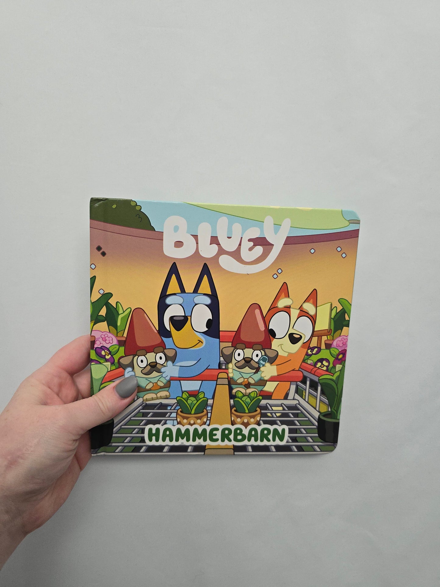 Bluey Hammerbarn • Board Book