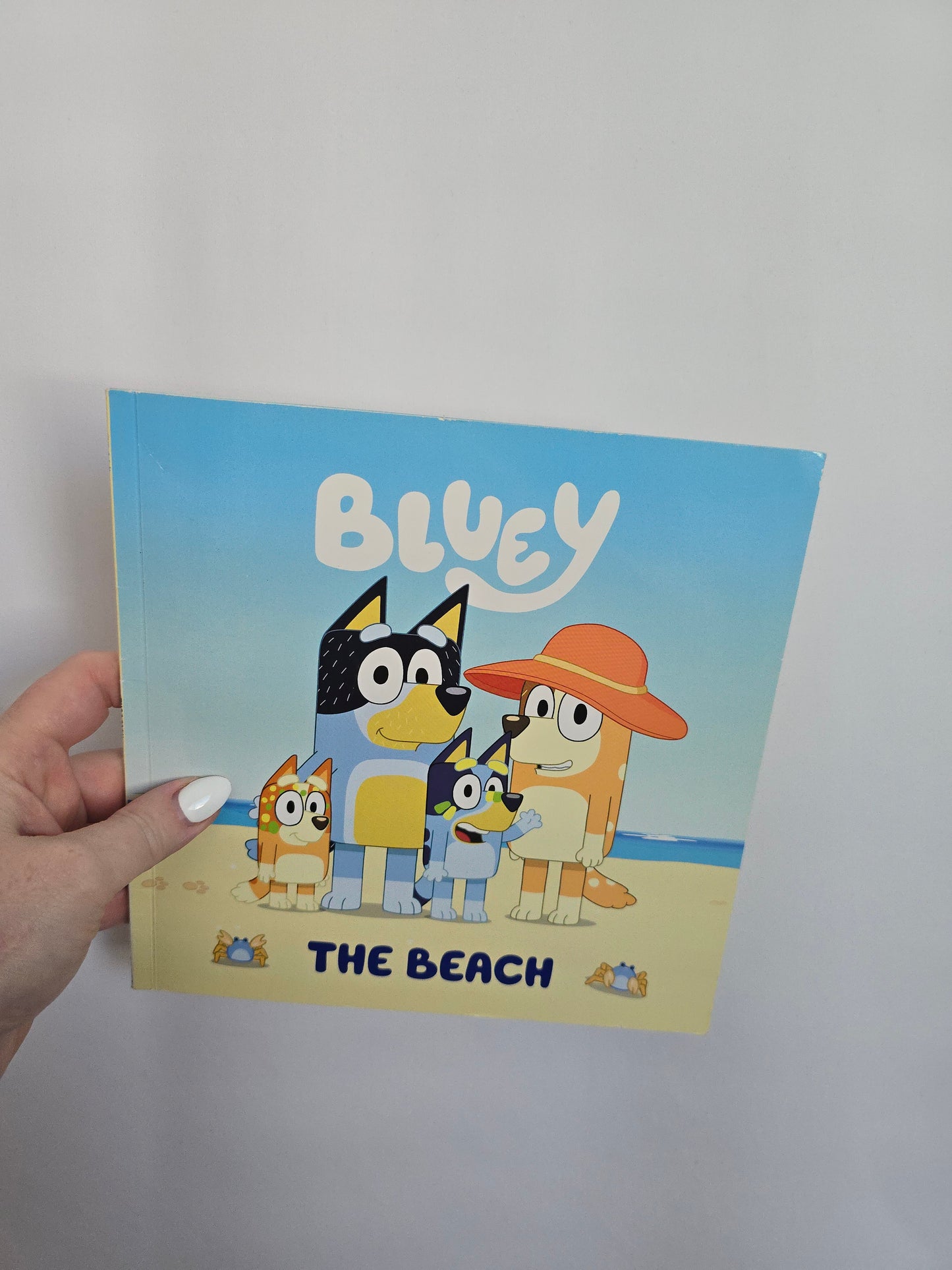 Bluey The Beach (2) • Softcover Book