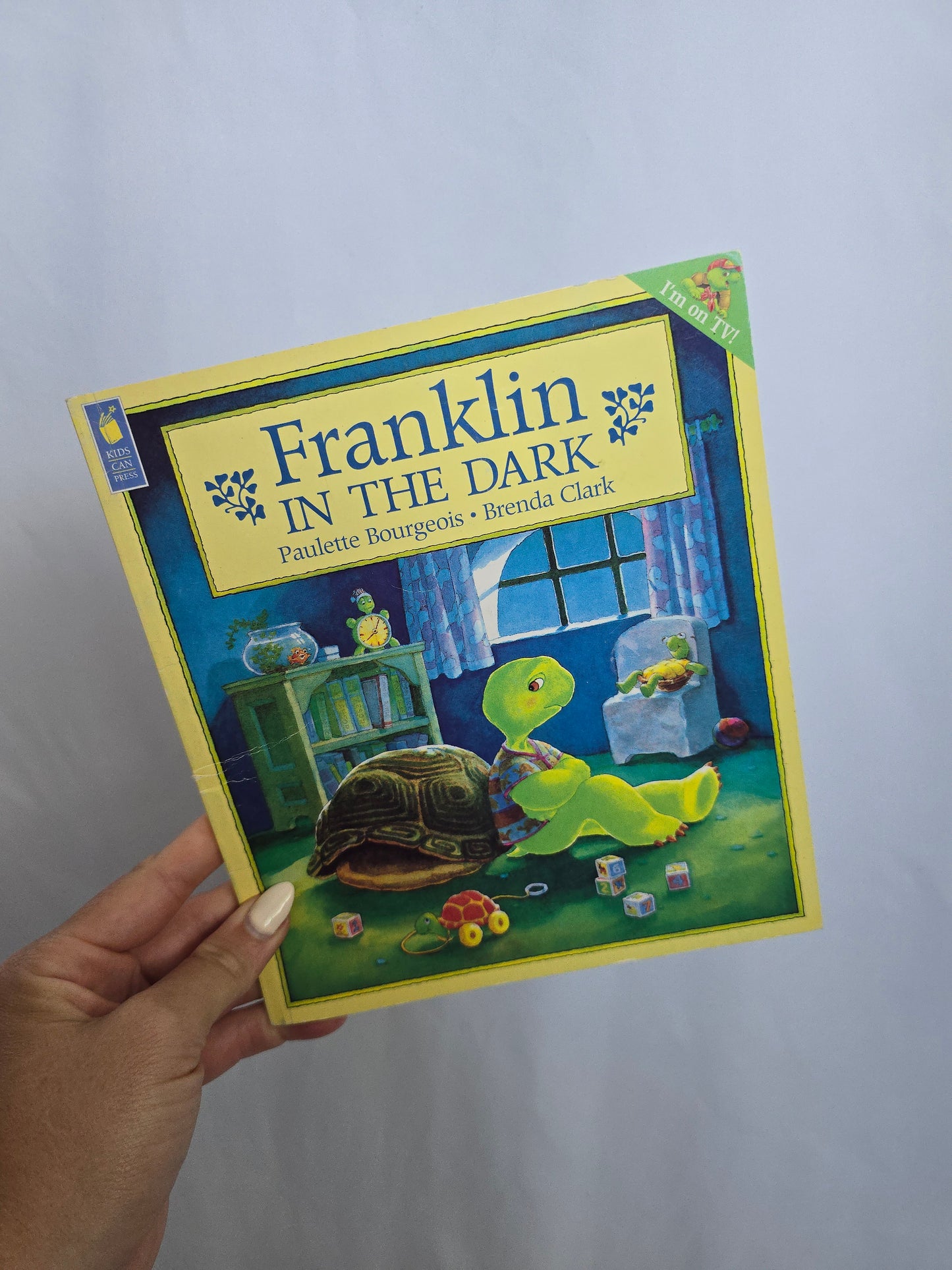Franklin In The Dark • Softcover Book