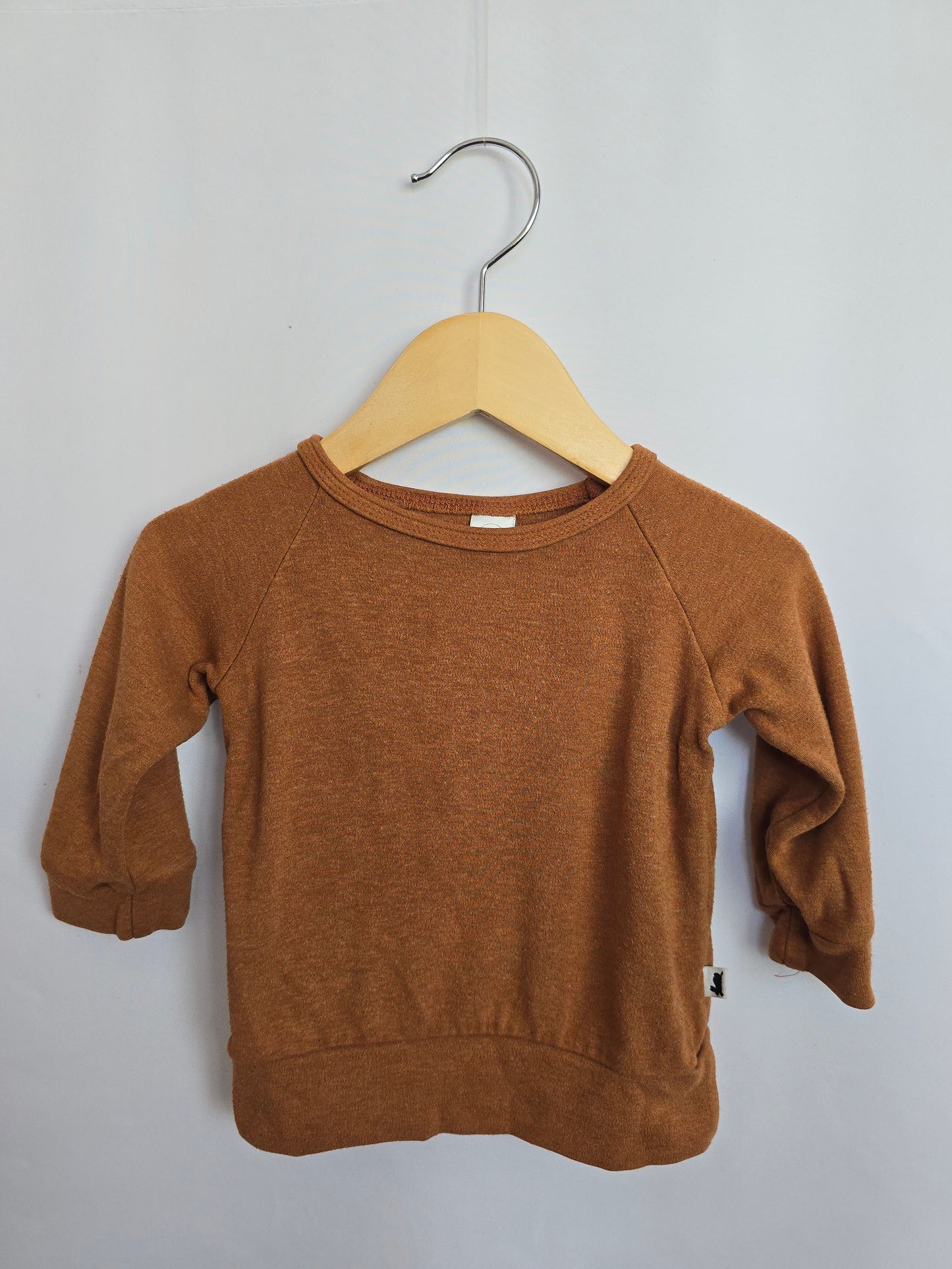 PLAY Little & Lively Burnt Orange Crewneck • 6-12 months