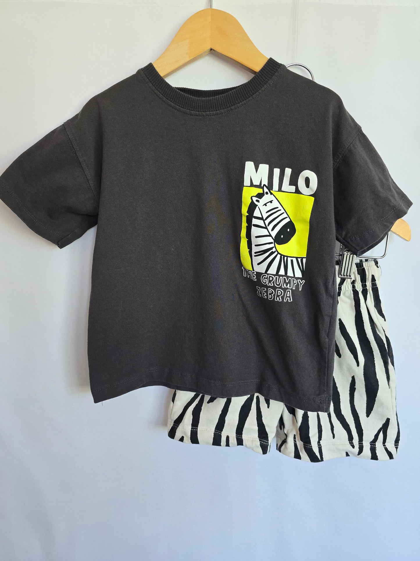 Zara Milo The Grumpy Zebra Tee & Shorts Set • 4 years