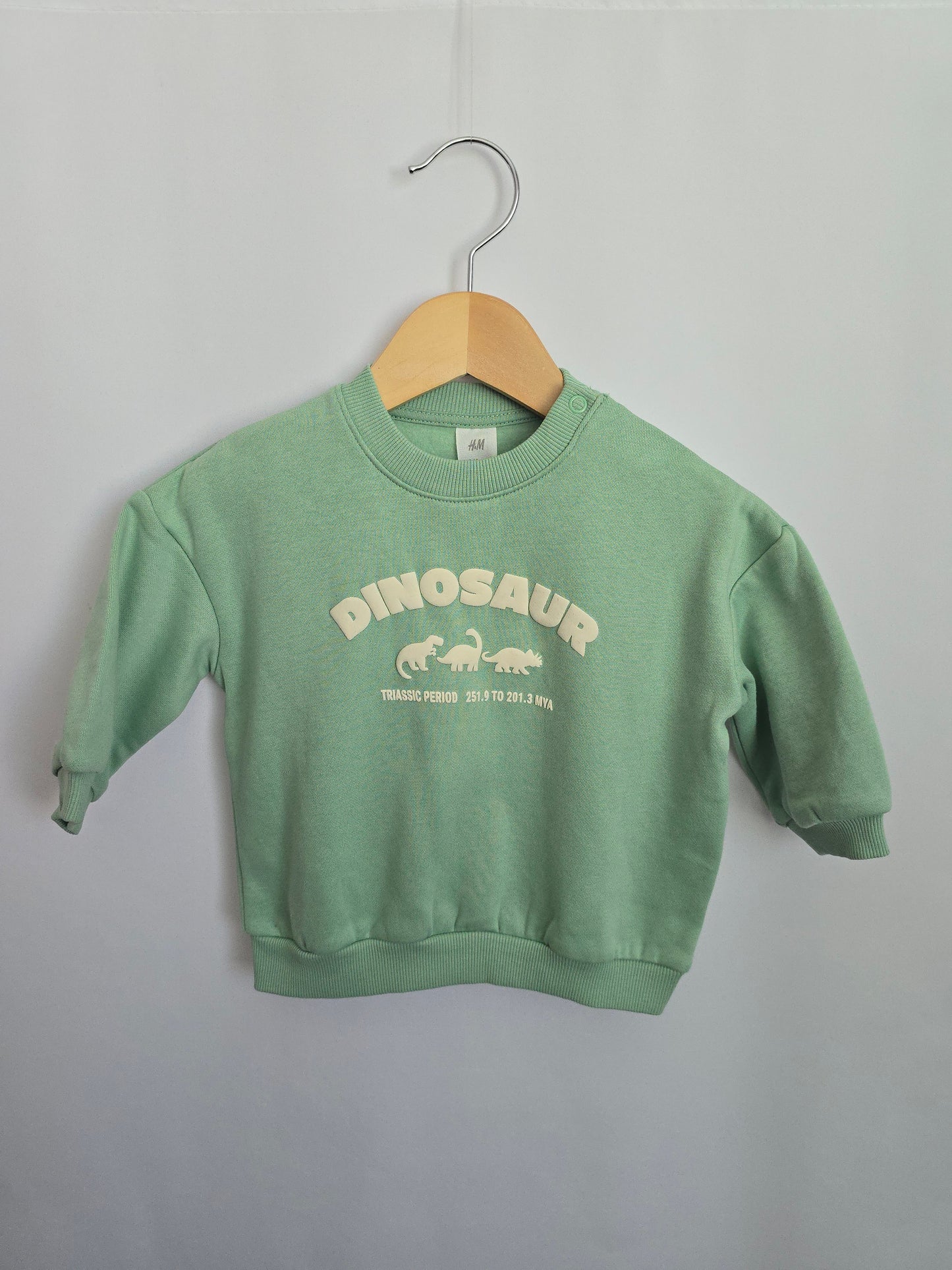 NEW Mint Dinosaur Crewneck • 4-6 months