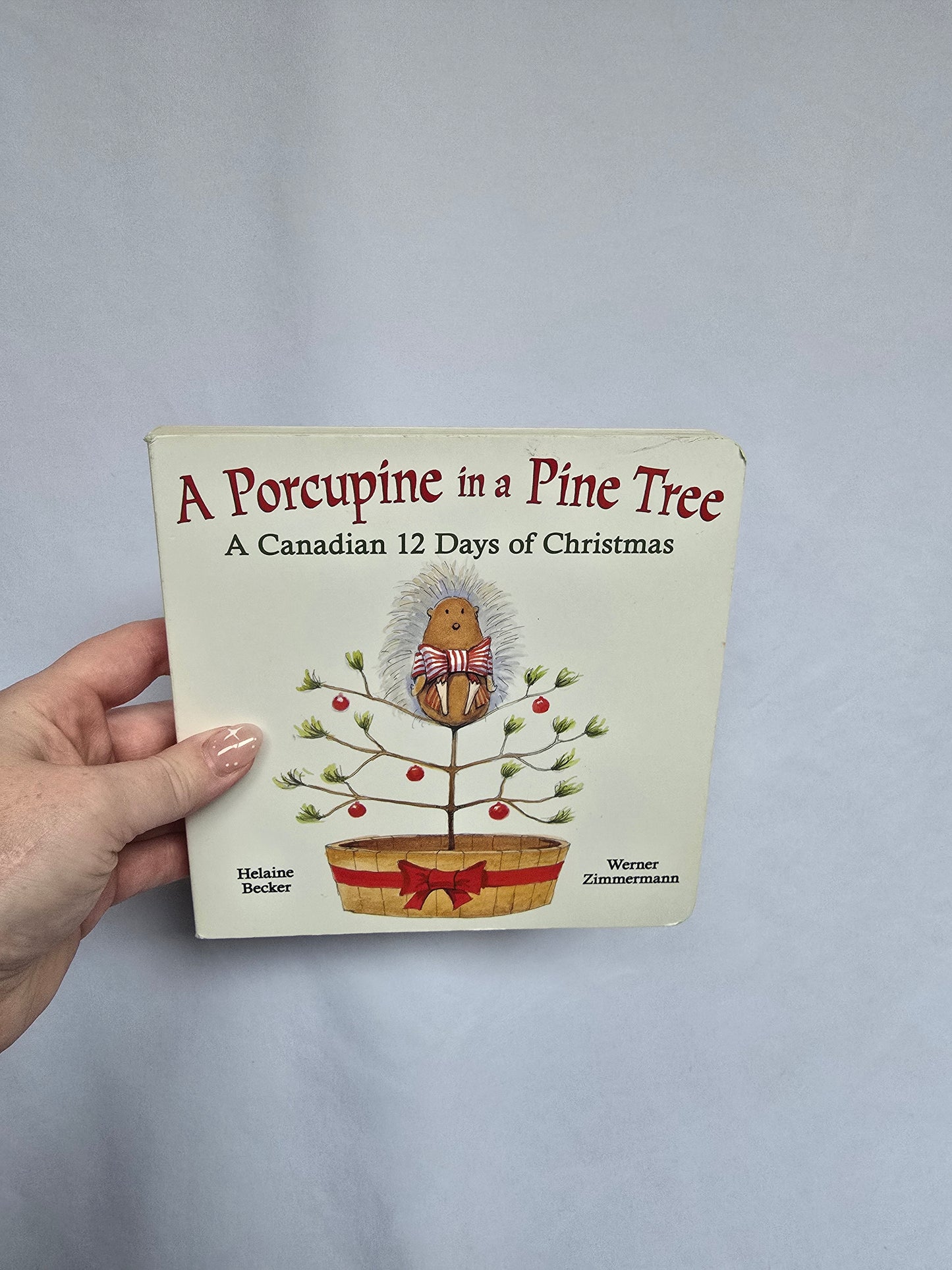 A Porcupine in a Pine Tree • Board Book