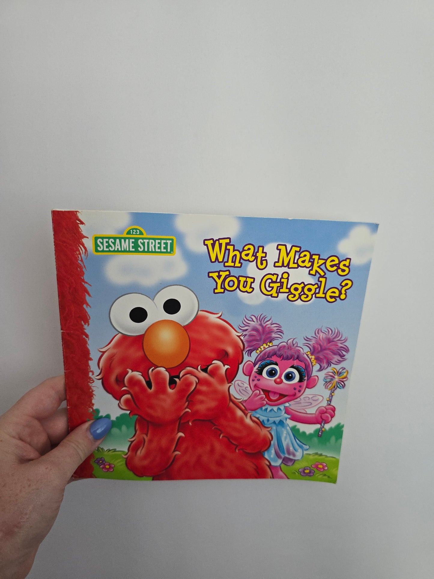 Sesame Street What Makes You Giggle • Softcover Book