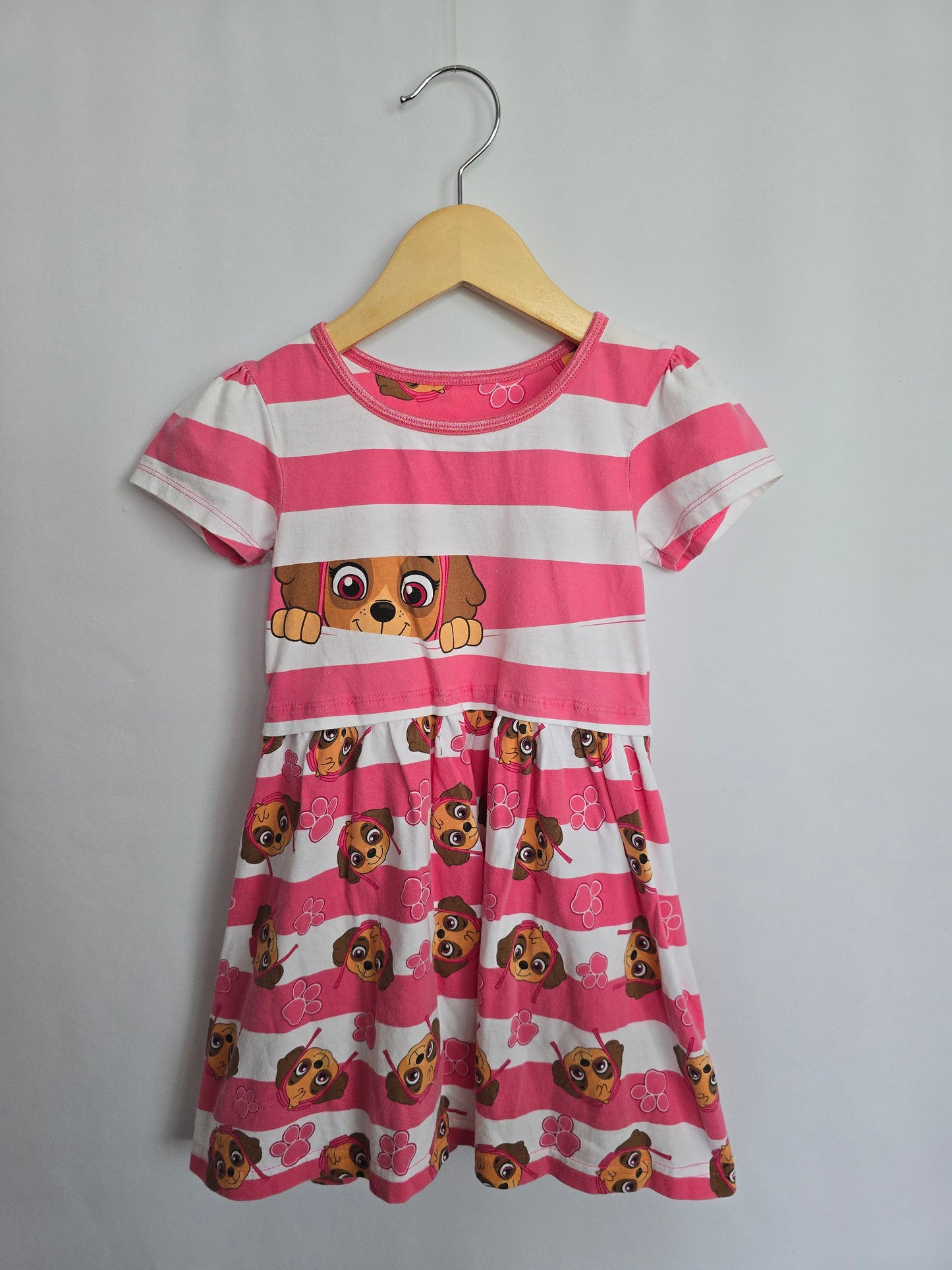 Paw Patrol Skye Character Dress • 4 years