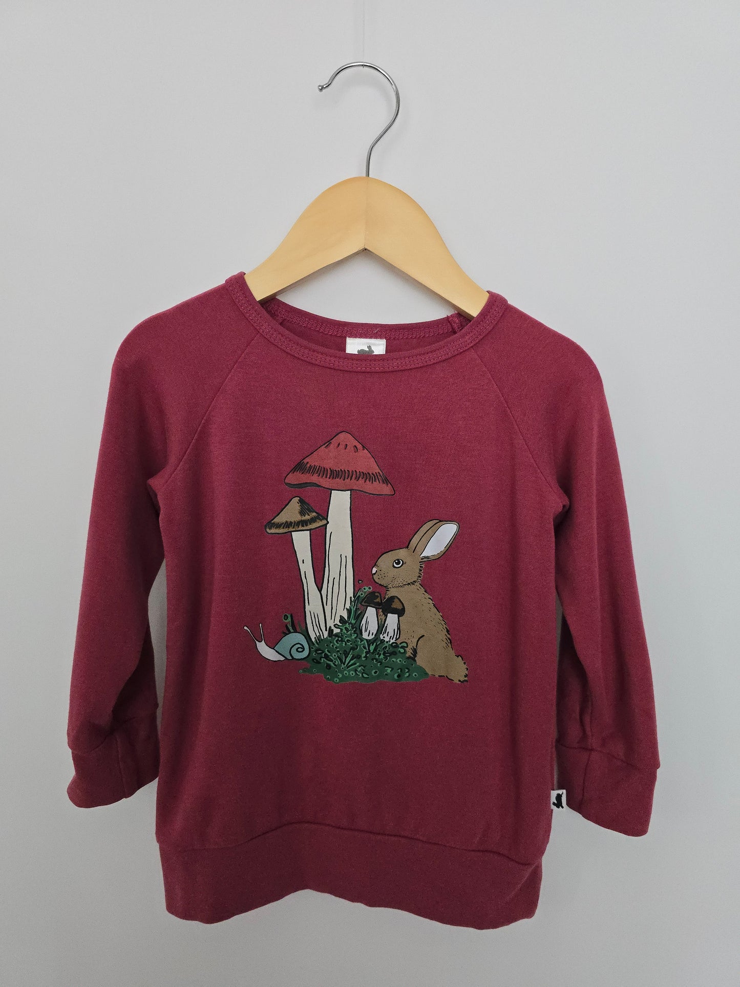 Little & Lively Bunny Graphic Pullover • 1-2 years