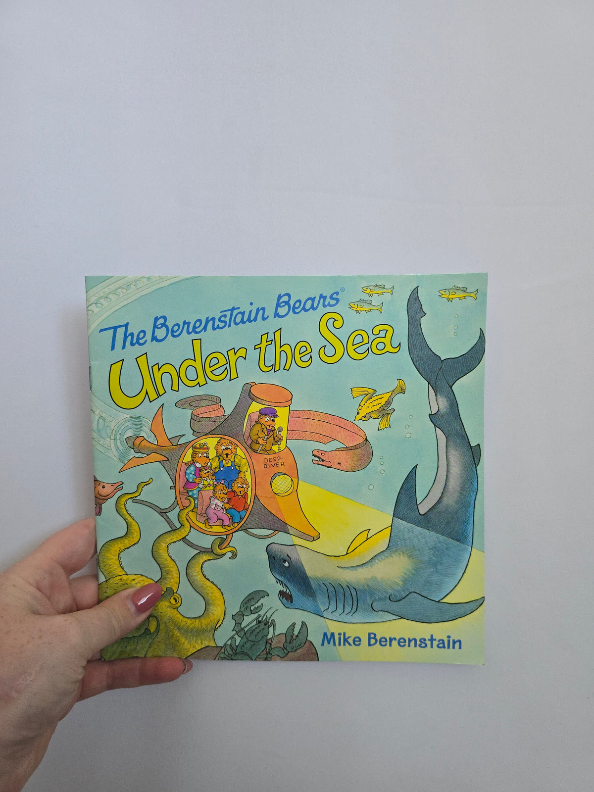 The Berenstain Bears Under The Sea • Softcover Book