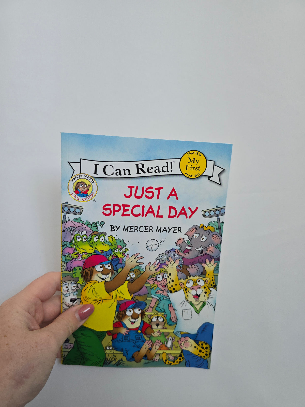 Just A Special Day • Softcover Book