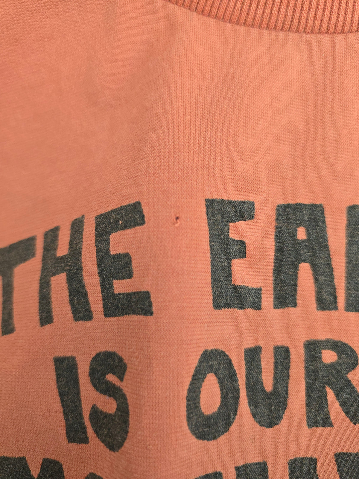 PLAY Mini Rodini Organic Earth is our Mother T-shirt • 4 years