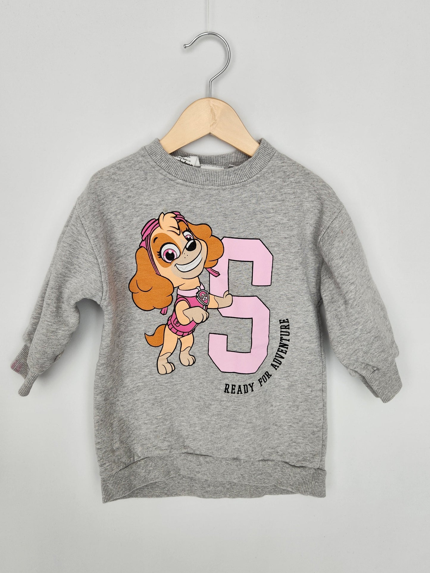 Zara Paw Patrol Tunic Length Sweatshirt • 18-24 months