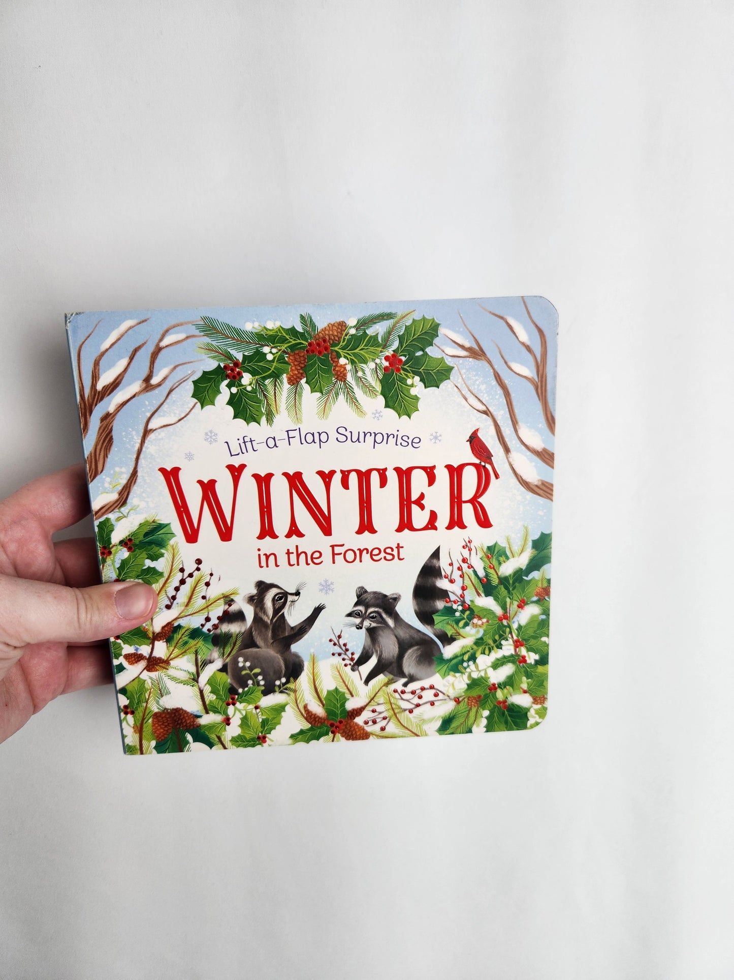 Winter In The Forest • Board Book