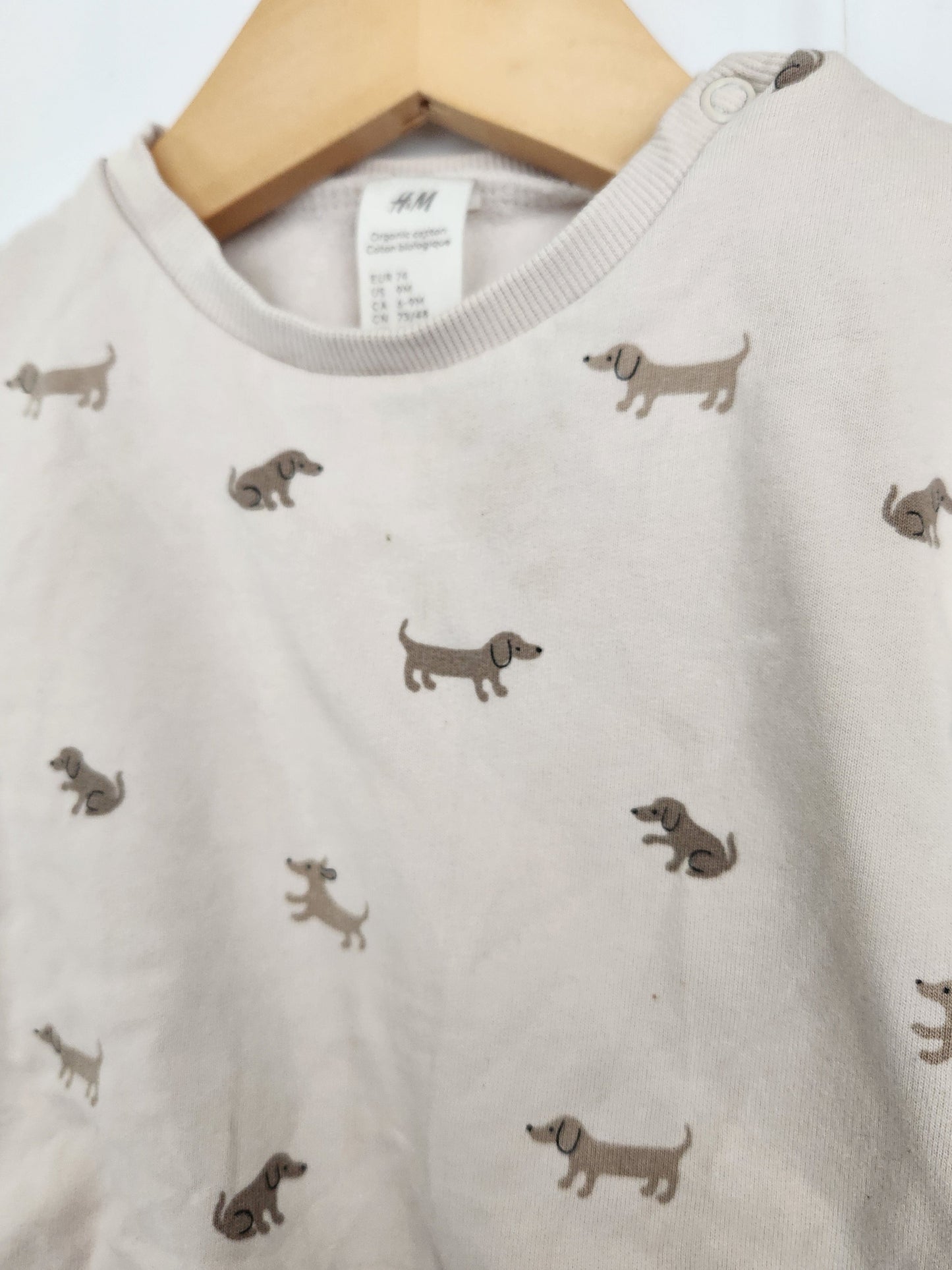 H&M Dog Sweatshirt & Pants *stains* • 6-9 months