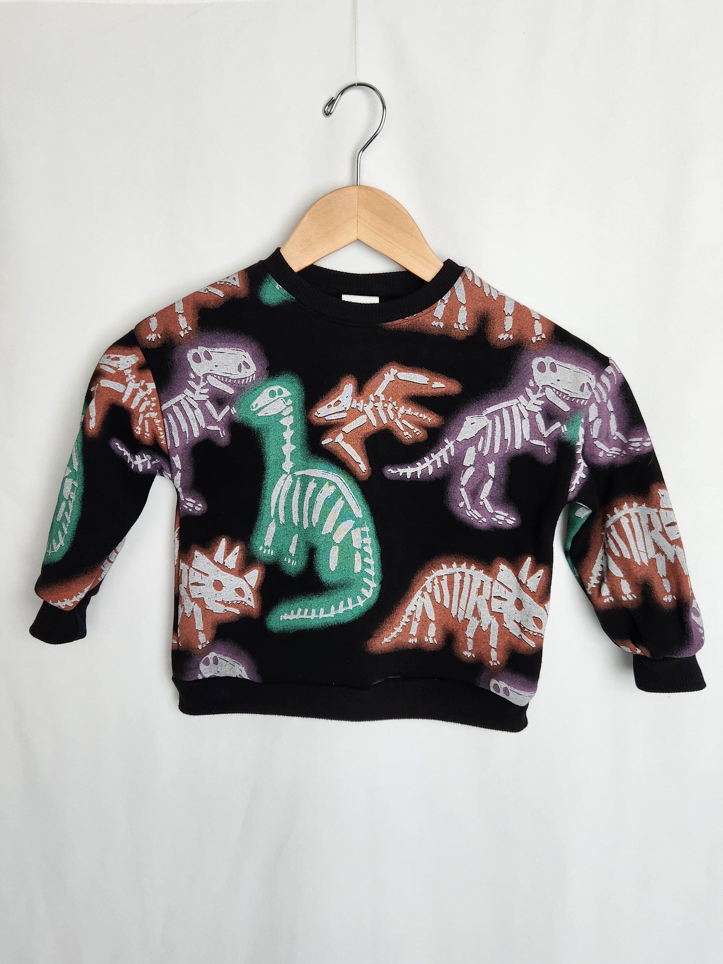 Zara Dinosaur Sweatshirt • 3-4 years