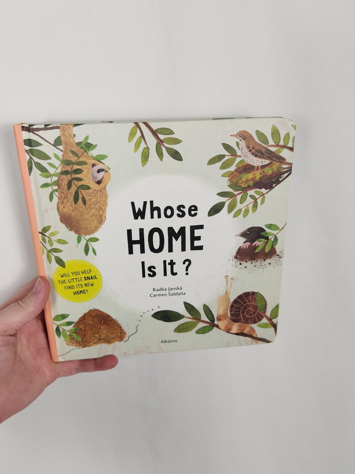 Whose Home Is It? • Hardcover Book