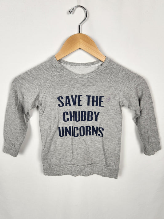 Portage & Main Save The Chubby Unicorns Crew *stain* • 3-4 years