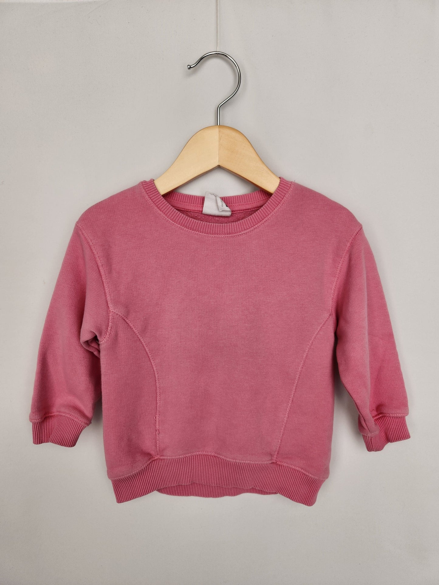 Zara Hot Pink Sweatshirt • 12-18 months