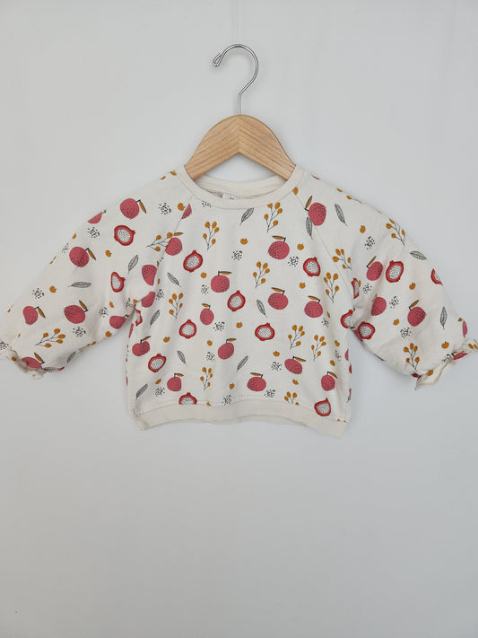 Zara Dragonfuit Sweatshirt • 3-4 years