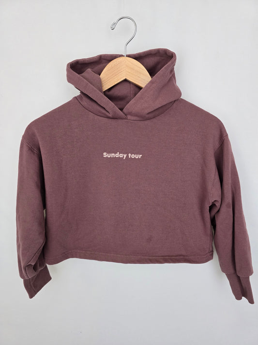 Zara Sunday Tour Cropped Hoodie *stain* • 9 years