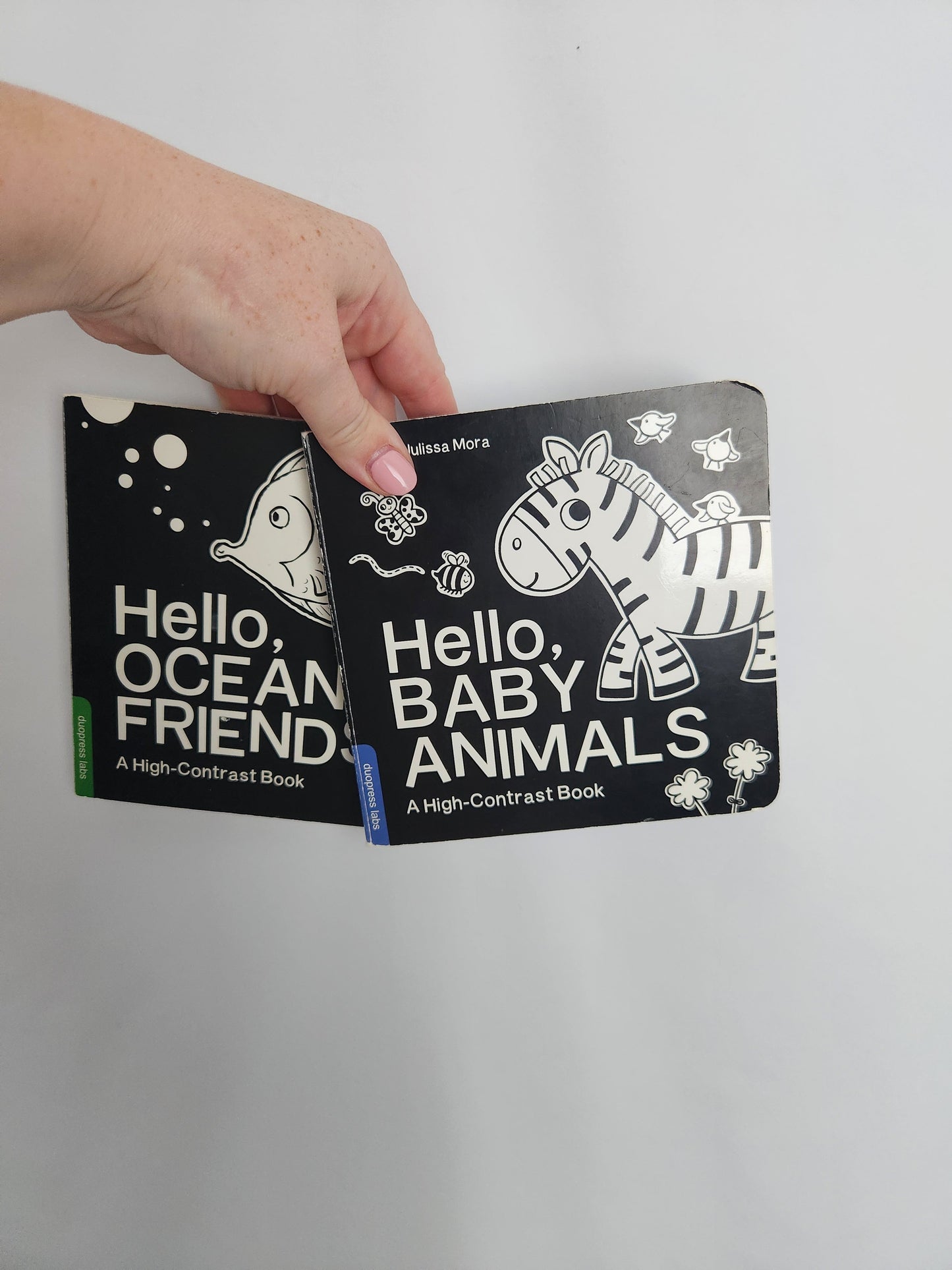 Hello, Baby Animals & Ocean Friends • Board Books