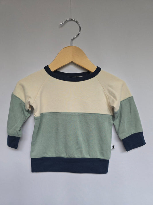 Little & Lively Color Block Crewneck • 0-6 months