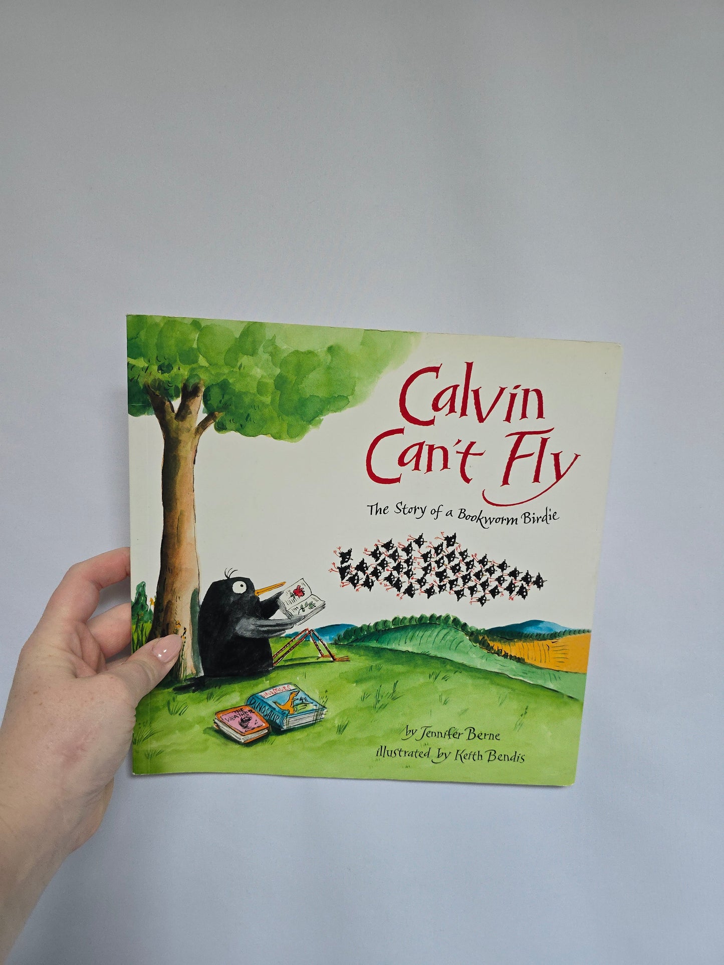 Calvin Can't Fly • Softcover Book