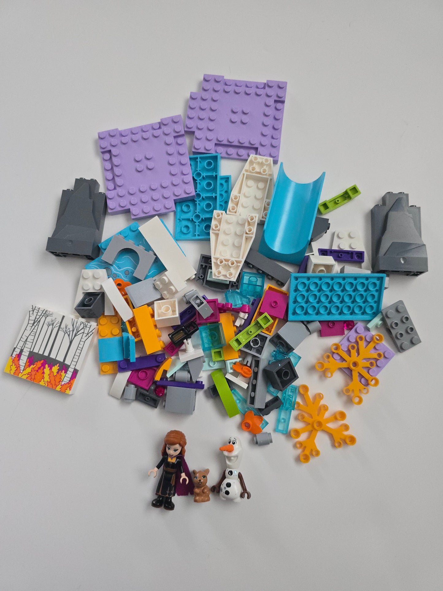 Lego Disney Frozen Annas Canoe Expedition 41165 Full Set