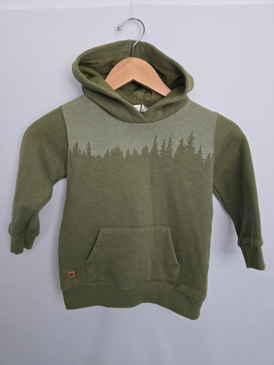Tentree Olive Hoodie • 5 years