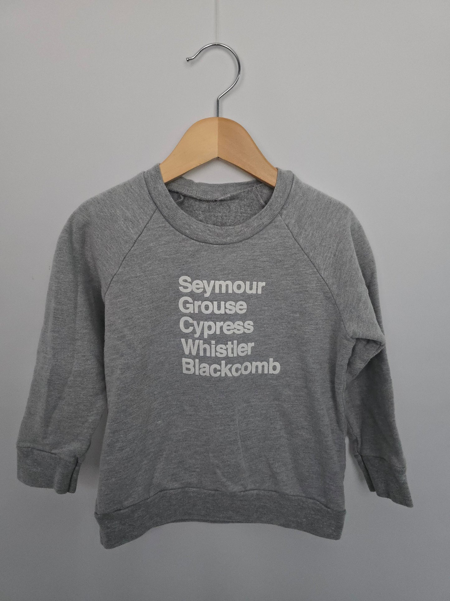 Small Shop Ski Hills Graphic Crew • 3-4 years