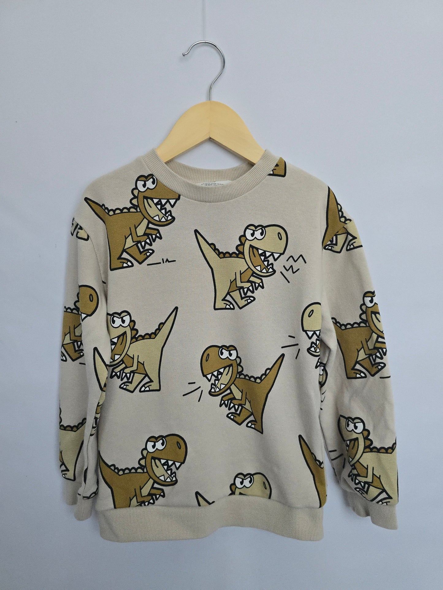 H&M Neutral Dinos Crewneck • 4-6 years