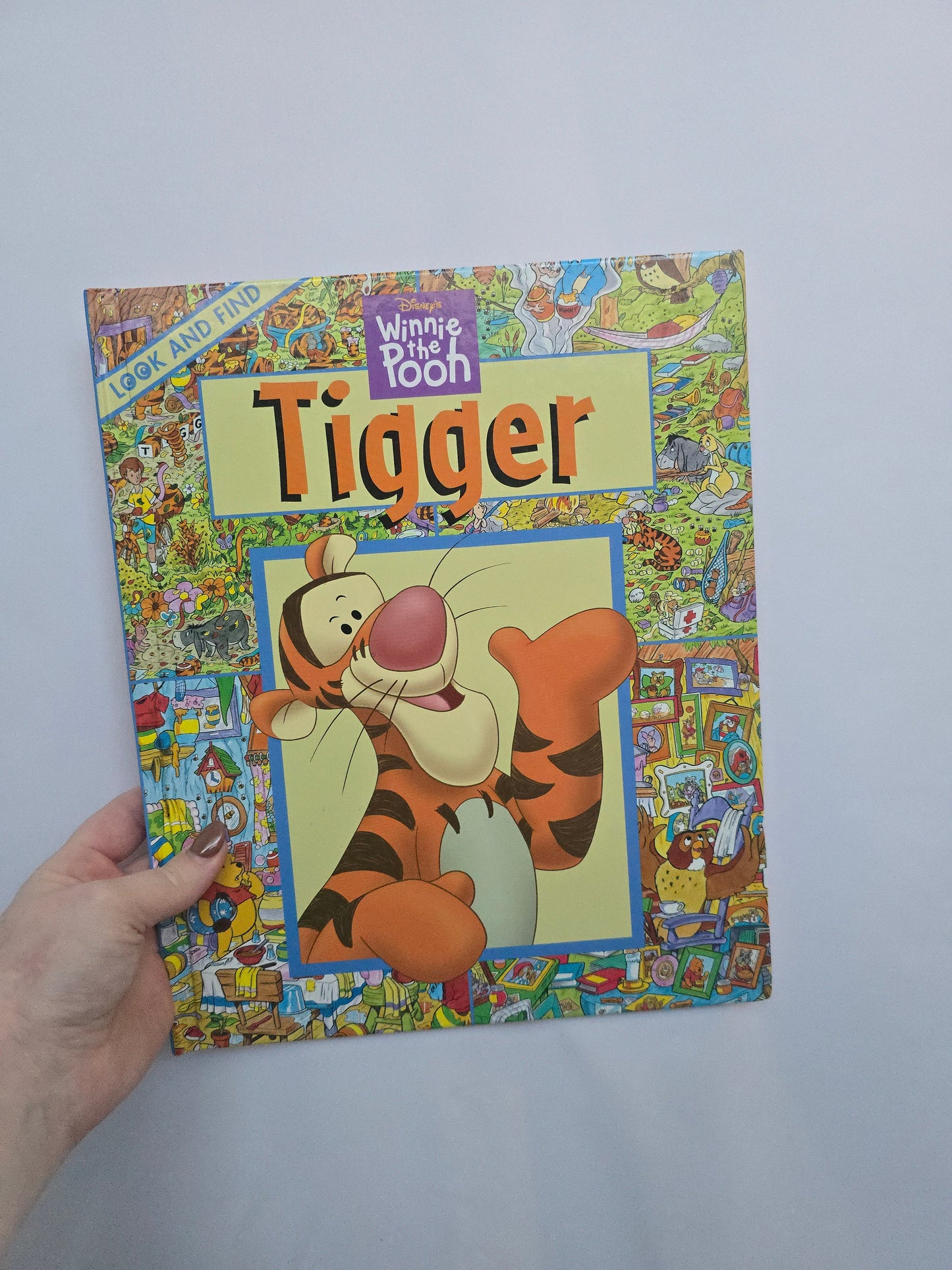 Winnie The Pook Look & Find • Hardcover Book