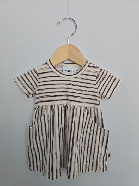 Wild North Stripe Pocket Dress • 0-6 months