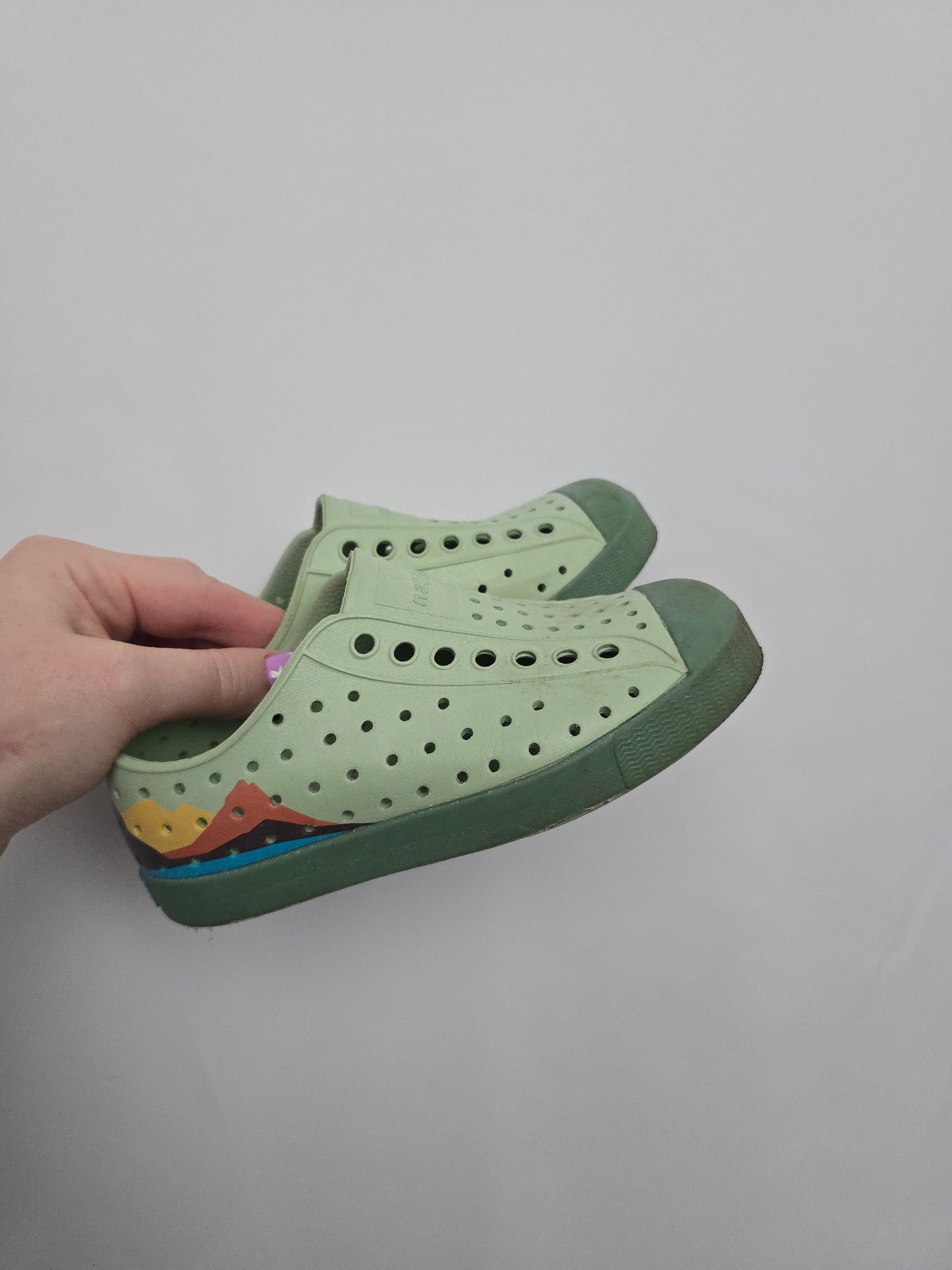 Native Landscape Mountain Jeffersons • 10C