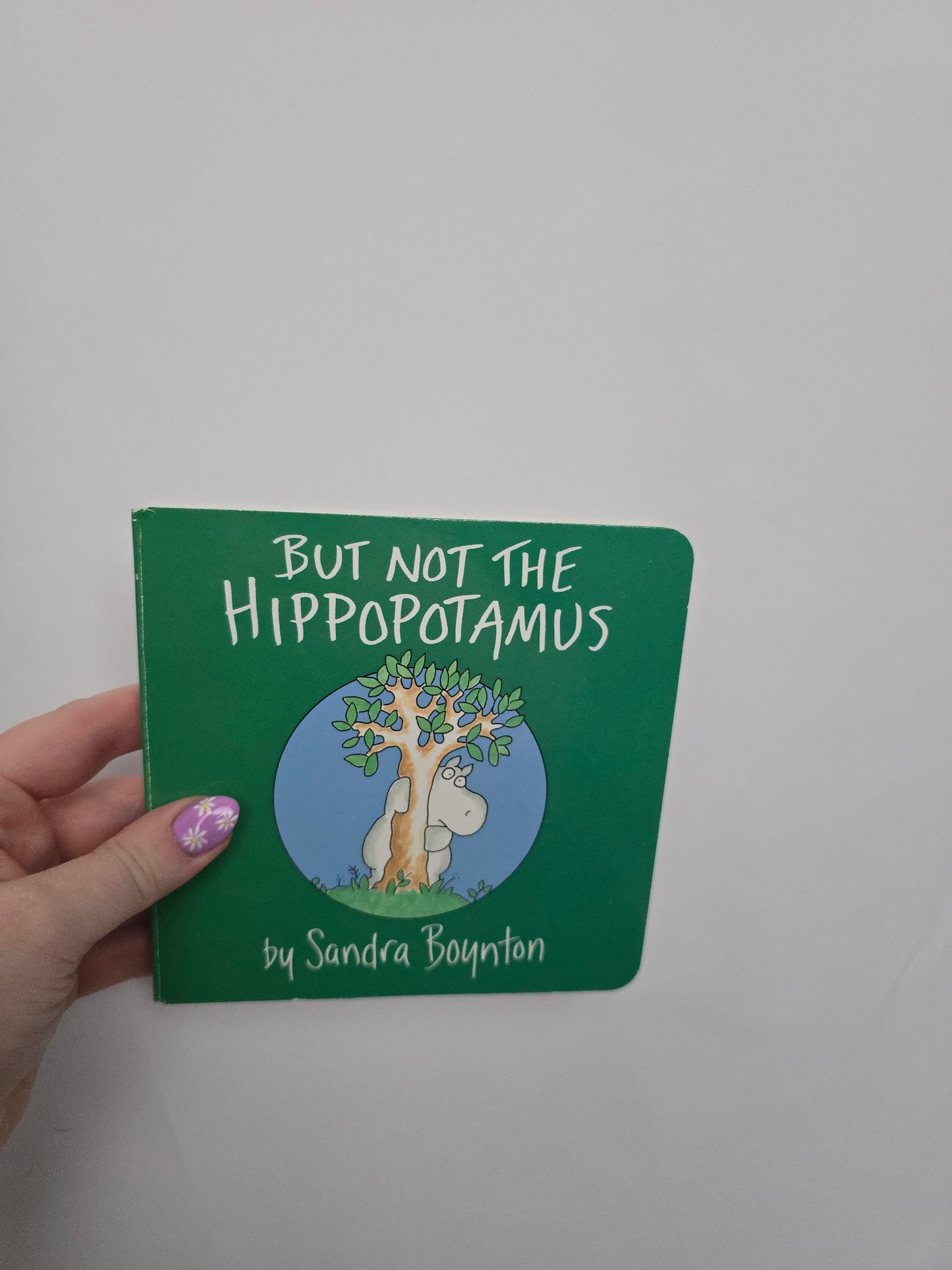 But Not The Hippopotamus • Board Book