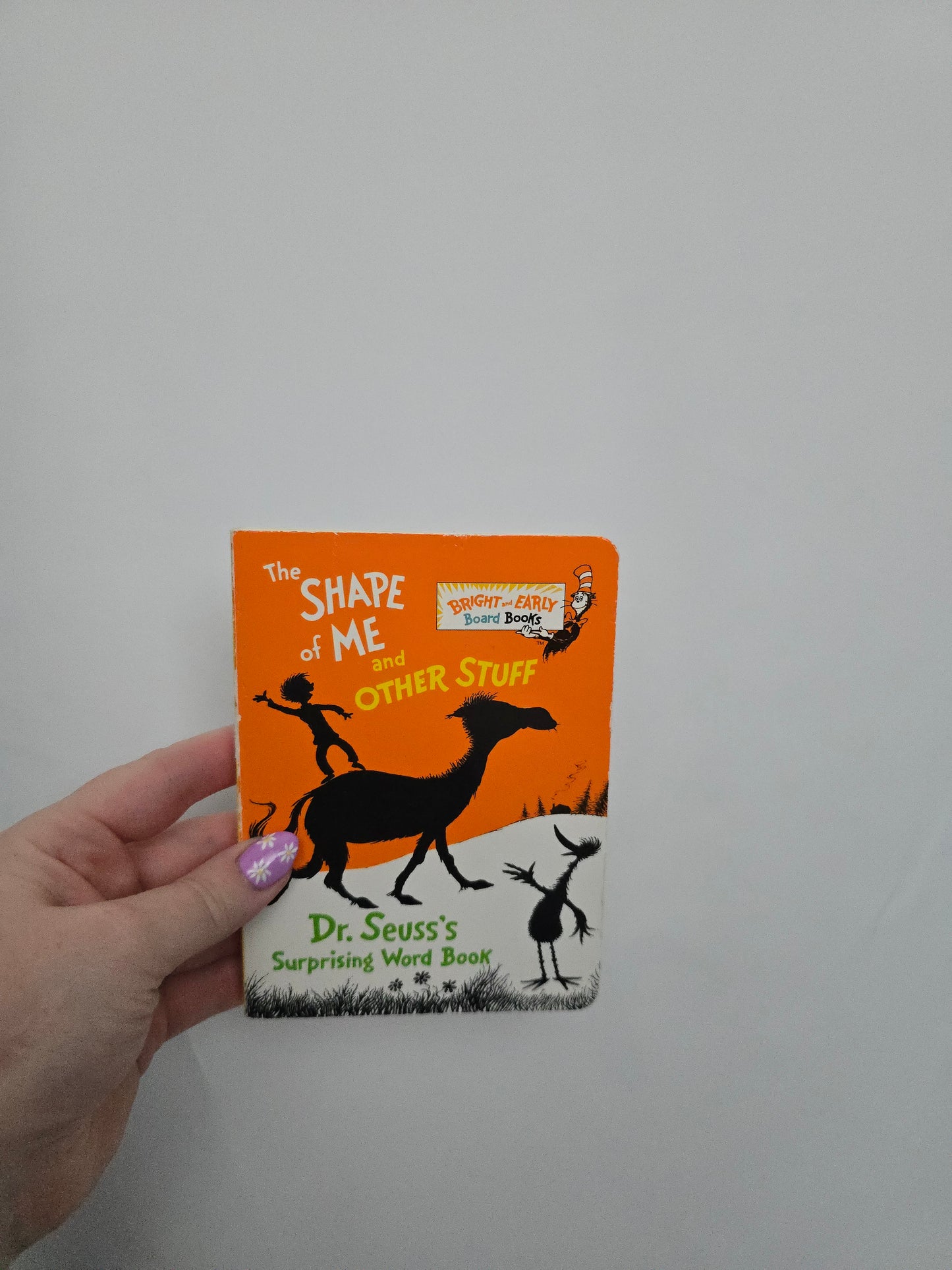 The Shape Of Me And Other Stuff • Board Book