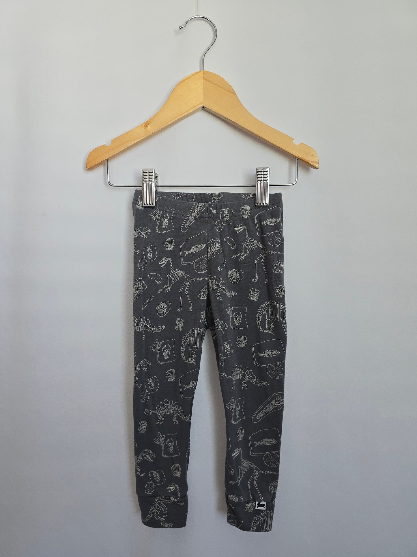 Little & Lively Palentologist Leggings • 12-18 months