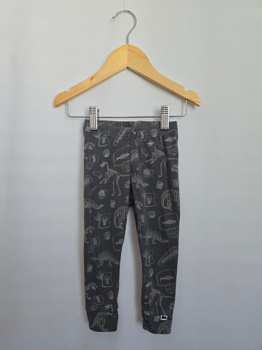 Little & Lively Palentologist Leggings • 12-18 months