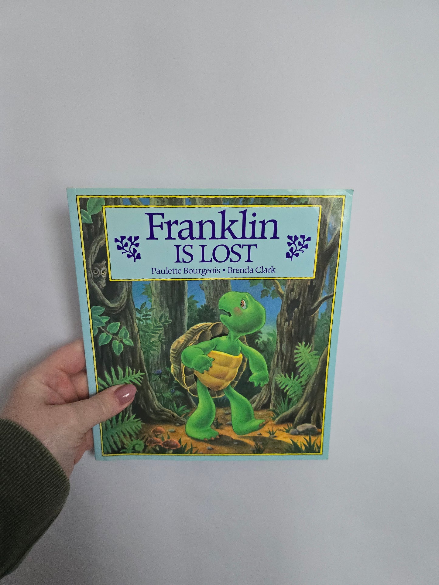 Franklin Is Lost • Softcover Book