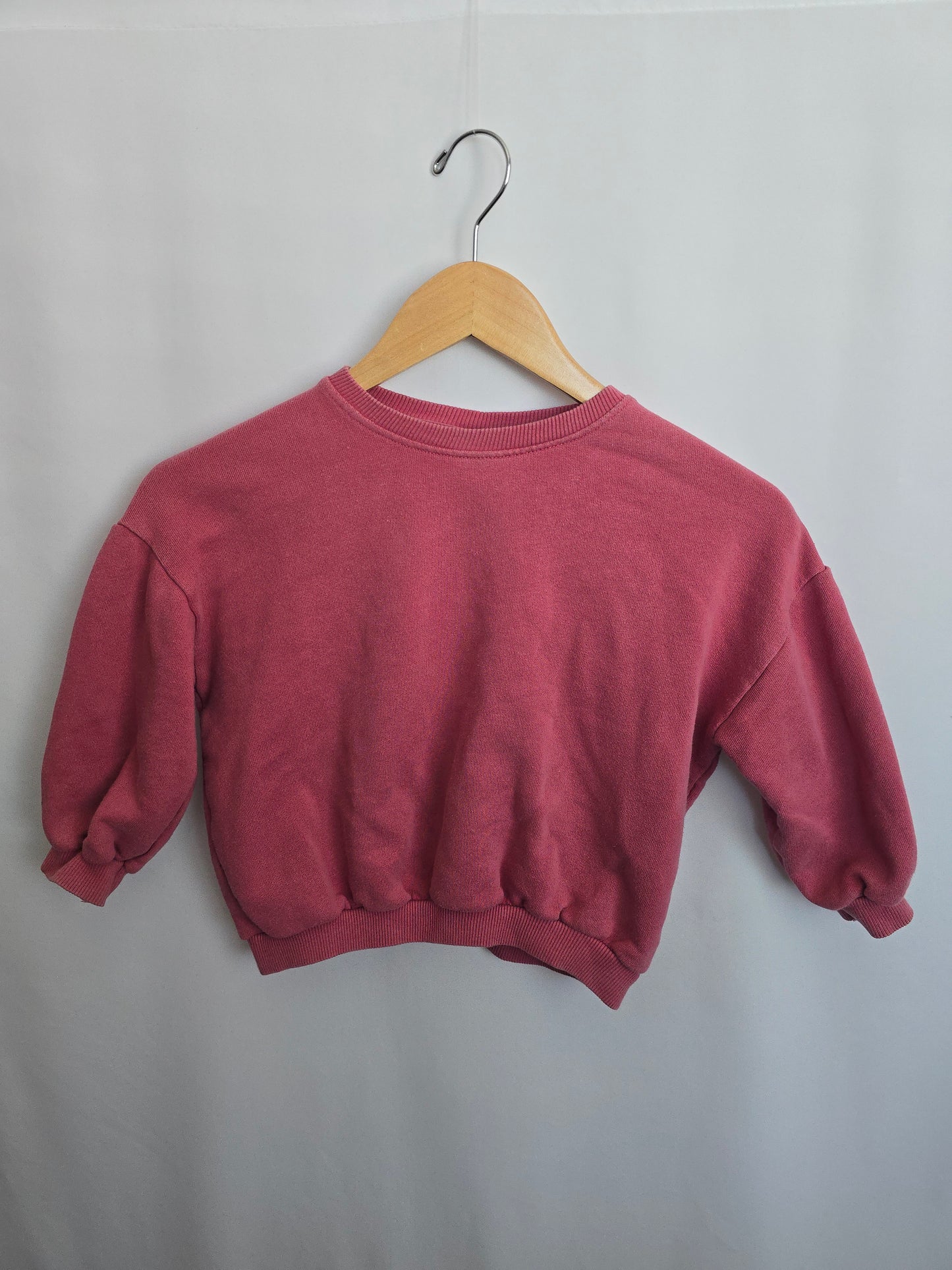 Zara Pink Peony Crewneck • 4-5 years