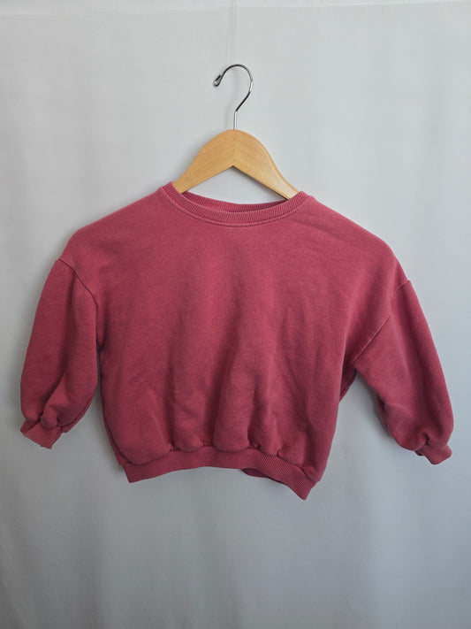 Zara Pink Peony Crewneck • 4-5 years