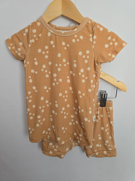 Baby Sprouts Bamboo Daisy Tee & Shorts Set • 12-18 months