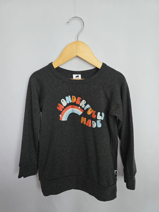 Little & Lively Wonderfully Made Crewneck • 3-4 years