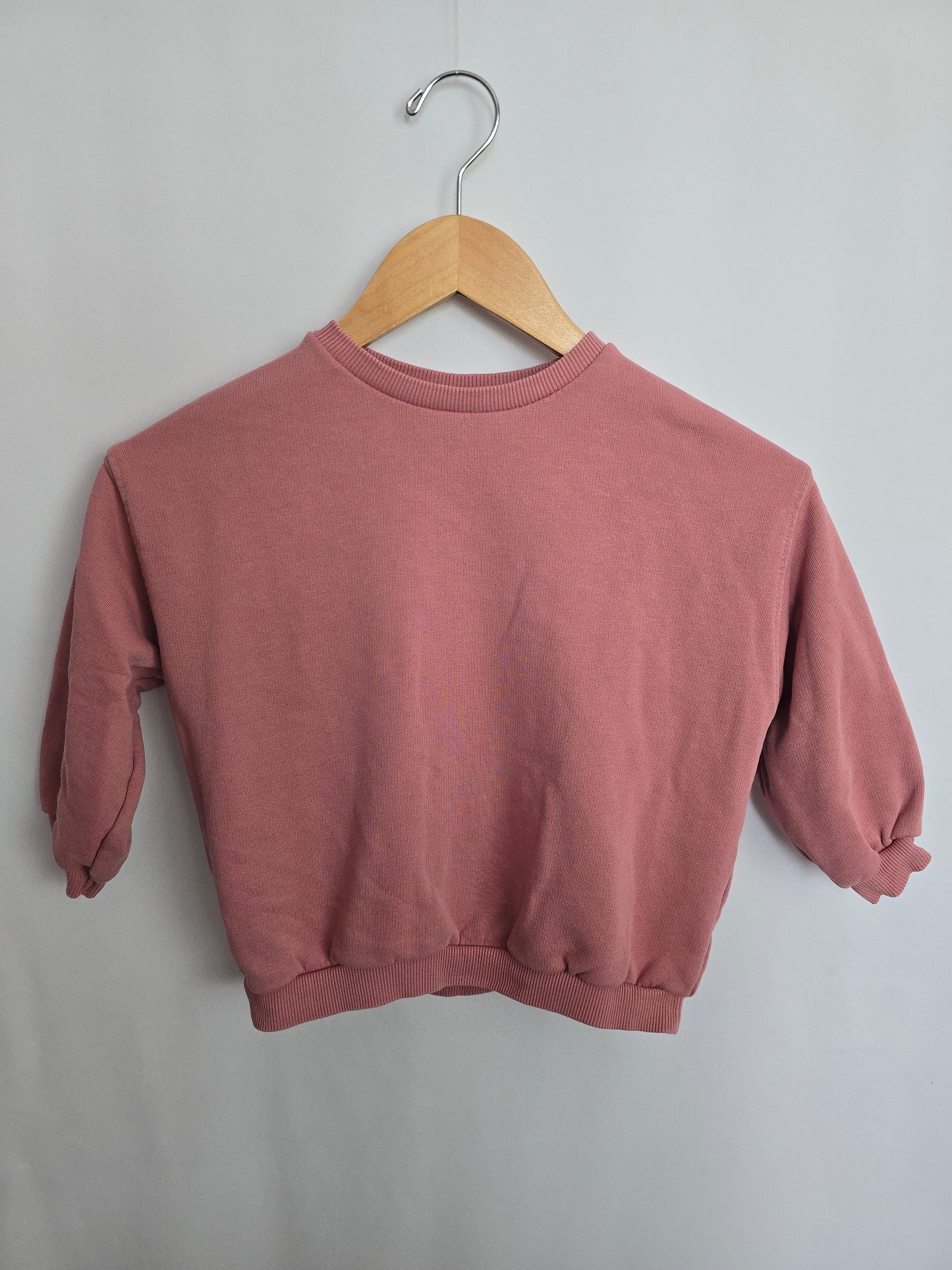 Zara Pink Basic Crewneck • 4-5 years