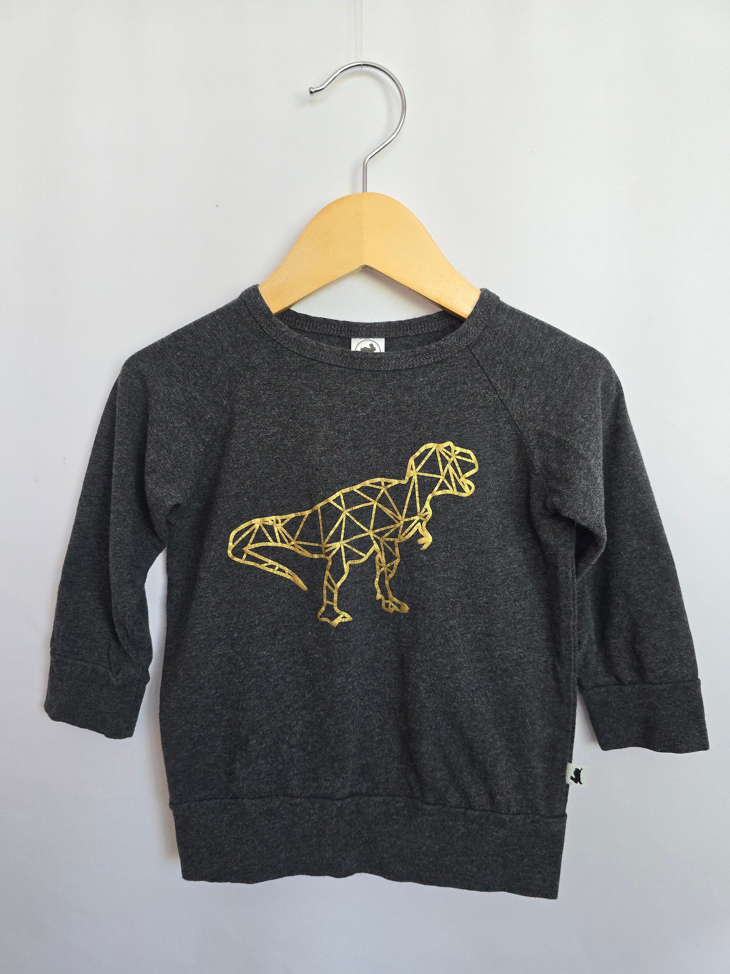 Little & Lively Geo Dinosaur Crewneck • 1-2 years
