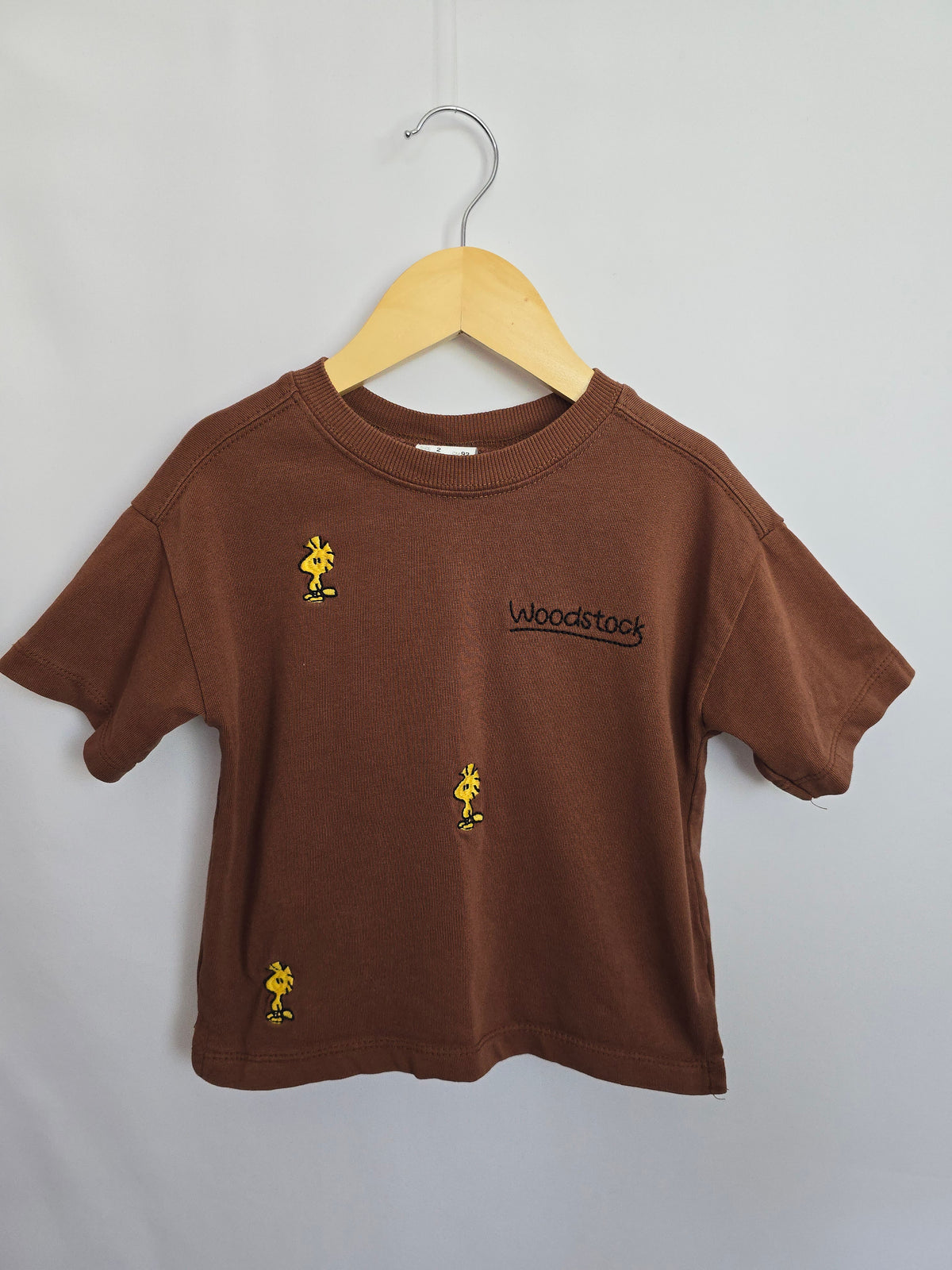 Zara Peanuts Brown Tee • 2 years
